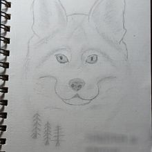 Mis dibujos. Un projet de Illustration traditionnelle de Sandra González - 20.07.2022