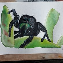 Mein Kursprojekt: Ausdrucksstarke Tierporträts in Aquarell. Traditional illustration, Watercolor Painting, Realistic Drawing, and Naturalistic Illustration project by Franziska Kröner - 07.20.2022
