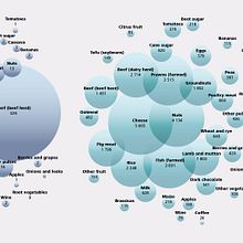 My project for course: Data Visualization and Information Design: Create a Visual Model. Information Design, Interactive Design & Infographics project by Anežka Winkelhöferová - 07.20.2022
