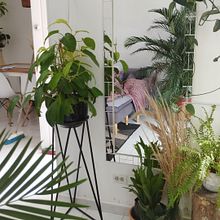 Mi proyecto del curso: Diseño de interiores con plantas desde cero. Interior Design, L, scape Architecture, Decoration, Interior Decoration, DIY, Floral, Plant Design, and Spatial Design project by Valen Zambrano - 07.19.2022