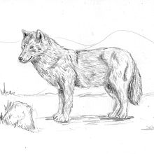 Meu projeto do curso: Ilustração dinâmica de animais para histórias infantis. Projekt z dziedziny Projektowanie postaci, R, sunek ołówkiem,  R, sunek i Ilustracje dla dzieci użytkownika Celia Bastos Tachau Monteiro - 21.07.2022
