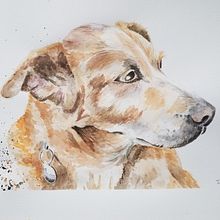 My project for course: Expressive Animal Portraits in Watercolor. Traditional illustration, Watercolor Painting, Realistic Drawing, and Naturalistic Illustration project by Ivonne Wierink - 07.21.2022