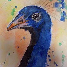 Mijn project van de cursus: Vogels illustreren met artistieke aquarel Ein Projekt aus dem Bereich Traditionelle Illustration, Aquarellmalerei, Realistische Zeichnung und Naturalistische Illustration von helena van roosmalen Van Roosmalen - 21.07.2022