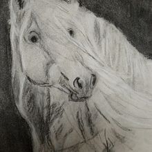 a horse of course Ein Projekt aus dem Bereich Artistische Zeichnung von helena van roosmalen Van Roosmalen - 21.07.2022