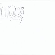 Il mio progetto del corso: Illustrazioni vivaci di animali per libri d'infanzia. Character Design, Pencil Drawing, Drawing, and Children's Illustration project by Raffaella Tincani - 07.22.2022