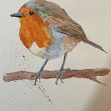 My project for course: Artistic Watercolor Techniques for Illustrating Birds. Projekt z dziedziny Tradycyjna ilustracja, Malowanie akwarelą, Rysunek realistyczny i Ilustracja naturalistyczna użytkownika kipgiro - 22.07.2022