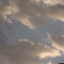 parte de mi. Un proyecto de Fotografía de bgarcezgonzaga - 23.07.2022