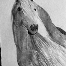 Mi proyecto del curso: Retratos expresivos de animales en acuarela Ein Projekt aus dem Bereich Traditionelle Illustration, Aquarellmalerei, Realistische Zeichnung und Naturalistische Illustration von Wima Dathe - 24.07.2022