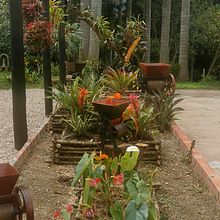 Jardín estacionamiento . Un projet de Design d'espace, Pa, sagisme , et Art floral et végétal de mymemilia - 23.07.2022
