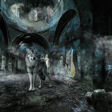 My project for course: Secrets of Photomontage and Creative Retouching. Photograph, Photograph, Post-production, VFX, Photo Retouching, Fine-Art Photograph, Photographic Composition, and Photomontage project by Prins Nicolas - 07.25.2022