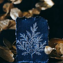 Sur le fil. Arts, Crafts, Fine-Art Photograph, Floral, and Plant Design project by Carasco / Emilie Lacour - 07.25.2022