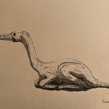 Dinosaurs in ink. Projekt z dziedziny Trad, c i jna ilustracja użytkownika Andreas Adam - 26.07.2022