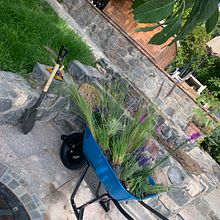 Mi proyecto del curso: Diseño de espacios verdes para tu casa. Un proyecto de Paisajismo, Diseño floral, vegetal y Diseño de espacios de Gloria Sosa - 26.07.2022