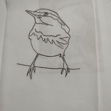 Artistic Watercolor Techniques for Illustrating Birds: small nuthatch. Un progetto di Disegno a matita di sophiesdrawjourney - 26.07.2022