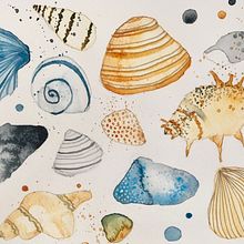 Seashells. Ilustração tradicional projeto de Eva Kadar - 26.07.2022