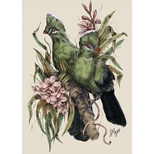 My project for course: Naturalist Illustration with Ballpoint Pen . Traditional illustration, Drawing, Realistic Drawing, and Naturalistic Illustration project by Sandra Meyer - 07.27.2022