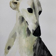 My project for course: Experimental Watercolor Techniques for Beginners. Un progetto di Illustrazione tradizionale, Belle arti, Pittura ad acquerello e Illustrazione naturalistica di Cristina Nava - 28.07.2022