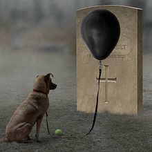 EL INEXORABLE TIEMPO. Photograph, Post-production, Collage, Photographic Composition, and Photomontage project by Néstor Rubén Fernández Aranda - 01.21.2022