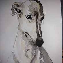 Mi proyecto del curso: Técnicas experimentales de acuarela para principiantes. Een project van Traditionele illustratie,  Beeldende kunst, Aquarelschilderen y Naturalistische illustratie van Jarry - 28.07.2022