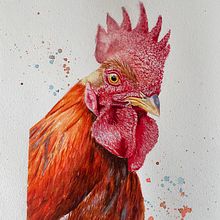 My project for course: Artistic Watercolor Techniques for Illustrating Birds. Een project van Traditionele illustratie, Aquarelschilderen, Realistische tekening y Naturalistische illustratie van Hela Burkhardt - 28.07.2022