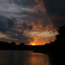 Nature through a mobile camera. Mobile Photograph, Photographic Composition, and Outdoor Photograph project by manoj_barai - 07.26.2022