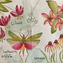 My project for course: Naturalist Journaling with Watercolor. Projekt z dziedziny Trad, c, jna ilustracja, Malowanie akwarelą, R, sunek botaniczn, Sketchbook, Ilustracja naturalist i czna użytkownika Cristina Nava - 29.07.2022