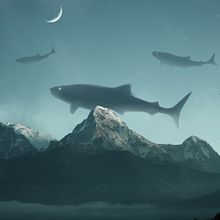 Monster Land By Oscar creativo. Een project van  Ontwerp, Traditionele illustratie,  Art direction, Digitale illustratie, Digitaal ontwerp, Digitale fotografie,  Reclame, 3D, L y scaping van Oscar Creativo - 29.07.2022