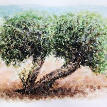 Olive Tree: Natural Landscapes in Watercolor. Un progetto di Illustrazione tradizionale e Pittura ad acquerello di miro.pobox - 29.07.2022