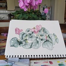 My project for course: Botanical Sketchbooking: A Meditative Approach. Traditional illustration, Sketching, Drawing, Watercolor Painting, Botanical Illustration, and Sketchbook project by suemackenzie186 - 06.27.2022