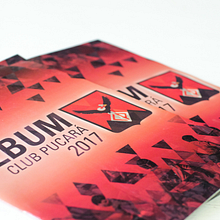 Album de stickers | Club Pucará. Traditional illustration, Photograph, Art Direction, Editorial Design, Graphic Design, and Picturebook project by Feli Del Mestre - 08.14.2017