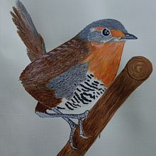 Mi proyecto del curso: Ilustración naturalista de aves con acuarela. Traditional illustration, Watercolor Painting, Realistic Drawing, and Naturalistic Illustration project by Dennis Muñoz - 07.31.2022