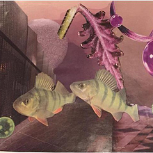 Cut & Paste: Paper  tridimensional collages. Traditional illustration, Collage, 3D, and Concept Art project by Charito Balseca - 07.31.2022