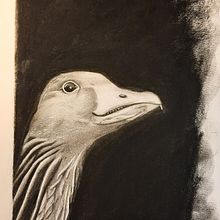 Gans sie selbst. Un proyecto de Dibujo y Dibujo de Retrato de Petra Köster - 31.07.2022