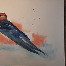 Schwalbe. Un proyecto de Pintura a la acuarela de Petra Köster - 31.07.2022