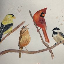 My project for course: Artistic Watercolor Techniques for Illustrating Birds. Traditional illustration, Watercolor Painting, Realistic Drawing, and Naturalistic Illustration project by wakerobinstudio - 07.31.2022