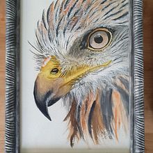 BIRD OF PRAY portrait in watercolor and white gouache. Un progetto di Illustrazione tradizionale, Disegno e Pittura ad acquerello di Henriëtte Doornwaard - 09.07.2022