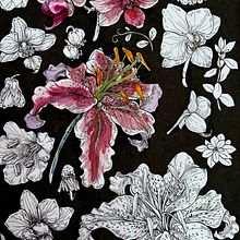 Quick botanical sketch. Sketching, and Artistic Drawing project by amelieyu - 07.16.2022