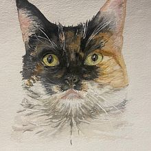 Expressive animals in watercolour. Painting project by winter_05 - 08.01.2022