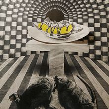 Provocative conflict. Design project by Enmanuel Abud - 01.18.2022