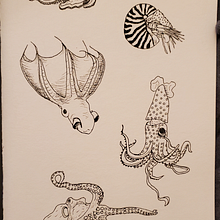 My project for course: Creative Drawing Techniques for Beginners. Design, Traditional illustration, Pencil Drawing, and Drawing project by Sarah Mayo - 01.05.2023