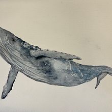 My project for course: Naturalist Illustration Techniques: Whales in Watercolor. Un progetto di Illustrazione tradizionale, Design di poster , Illustrazione digitale e Manga di Deborah - 01.08.2022