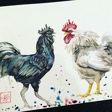 How it starts....Kookaburra drawn with pencil and Roosters in Conversation. Un progetto di Illustrazione tradizionale, Pittura ad acquerello, Disegno realistico e Illustrazione naturalistica di Sabine Nimz - 02.08.2022