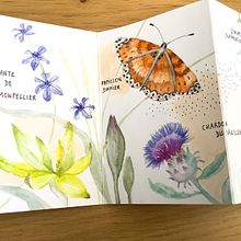 Mon projet du cours : Carnet naturaliste à l'aquarelle. Projekt z dziedziny Trad, c, jna ilustracja, Malowanie akwarelą, R, sunek botaniczn, Sketchbook, Ilustracja naturalist i czna użytkownika Stephanie Henao - 02.08.2022