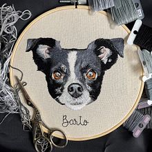 Mi proyecto del curso: Retratos de mascotas: técnicas para bordar pelaje - Barto Ein Projekt aus dem Bereich H, werk, Stickerei und Textildesign von Ángeles Ramos - 26.09.2022
