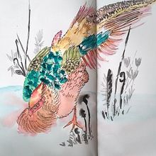 My project for course: Illustrating Nature: A Creative Exploration. Projekt z dziedziny Trad, c, jna ilustracja,  Malarstwo,  R, sunek, Malowanie akwarelą,  R, sunek atramentem, Ilustracja naturalist, czna, R i sunek botaniczn użytkownika Beant Kaur Dhillon - 02.08.2022
