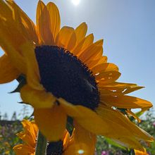 Farmers day . Un proyecto de Fotografía, Paisajismo, Fotografía con móviles y Fotografía en exteriores de Melany Cardenas - 02.08.2022