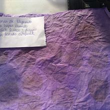 TEÑIDO BOTÁNICO PARA ENCUADERNACIÓN . Arte și meșteșuguri, Design vestimentar, DIY, Vopsirea textilelor, Imprimare textilă și Design textil de Sandra Argüello Muñoz - 07.31.2022