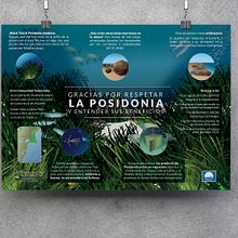 Póster La Posidonia. Un progetto di Illustrazione tradizionale di Carolina Fernández - 20.05.2022
