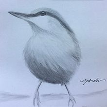 Mi proyecto del curso: Acuarela artística para ilustración de aves. Un proyecto de Ilustración tradicional, Pintura a la acuarela, Dibujo realista e Ilustración naturalista				 de Gabriela D’ Franco - 01.08.2022