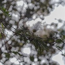 Exprimentando as cores . % Jojo Seixas tarafından hazırlanan Açık Hava Fotoğrafçılığı, Instagram Fotoğrafçılığı, Fotoğrafik Kompozis, on, Ve Renk Teorisi projesi - 08.03.2022
